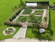 Blick in den Gemüsegarten Blick in den Gemüsegarten