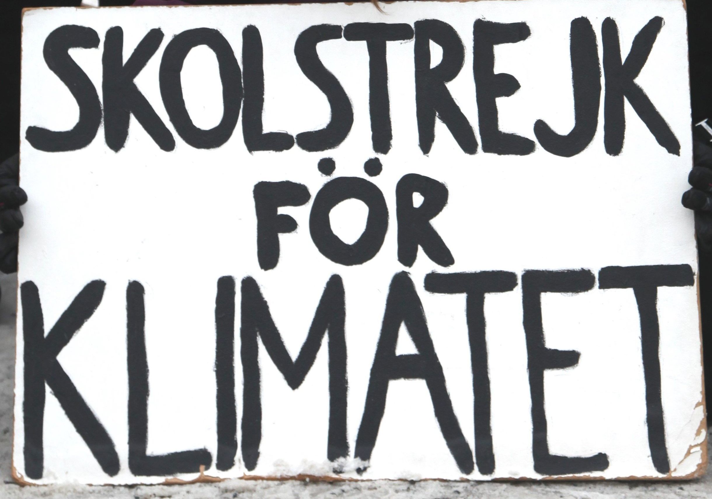 Greta Thunbergs Schild: Schulstreik für's Klima